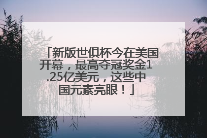 新版世俱杯今在美国开幕，最高夺冠奖金1.25亿美元，这些中国元素亮眼！