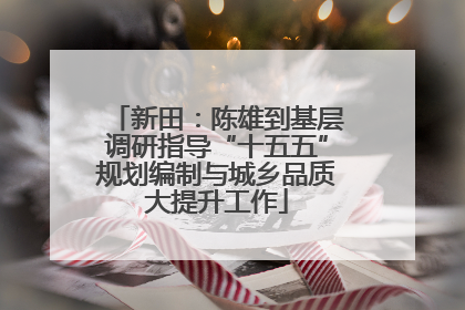新田：陈雄到基层调研指导“十五五”规划编制与城乡品质大提升工作