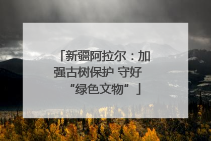 新疆阿拉尔：加强古树保护 守好“绿色文物”