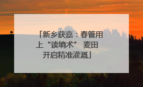 新乡获嘉：春管用上“读墒术” 麦田开启精准灌溉