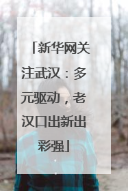 新华网关注武汉：多元驱动，老汉口出新出彩强