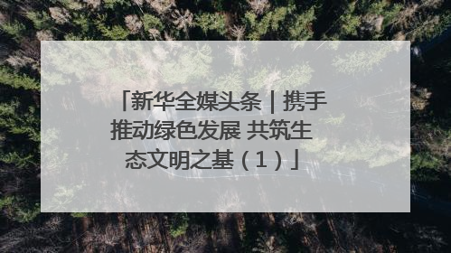 新华全媒头条｜携手推动绿色发展 共筑生态文明之基（1）