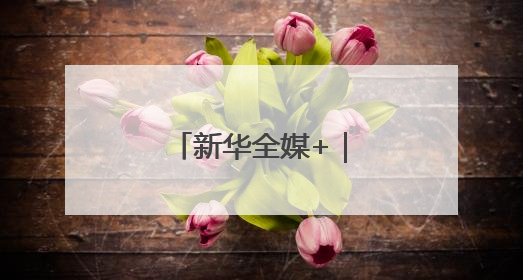 新华全媒+｜内蒙古：沙海之中建“蓝海”