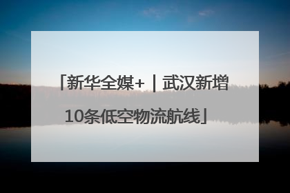 新华全媒+｜武汉新增10条低空物流航线