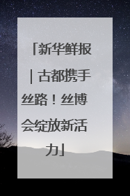 新华鲜报｜古都携手丝路！丝博会绽放新活力