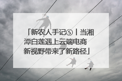 新农人手记⑤丨当湘潭白莲遇上云端电商 新视野带来了新路径