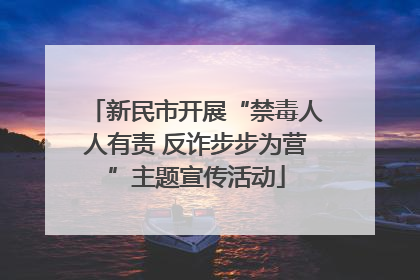 新民市开展“禁毒人人有责 反诈步步为营”主题宣传活动