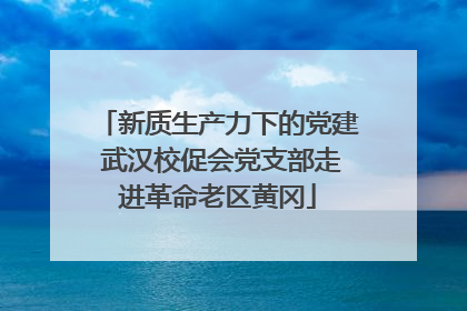 新质生产力下的党建 武汉校促会党支部走进革命老区黄冈