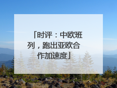 时评：中欧班列，跑出亚欧合作加速度