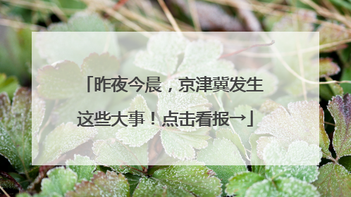 昨夜今晨，京津冀发生这些大事！点击看报→