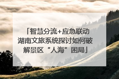 智慧分流+应急联动 湖南文旅系统探讨如何破解景区“人海”困局