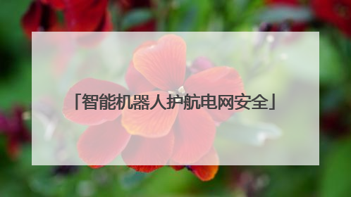 智能机器人护航电网安全