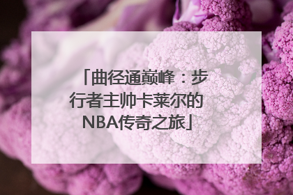曲径通巅峰：步行者主帅卡莱尔的NBA传奇之旅