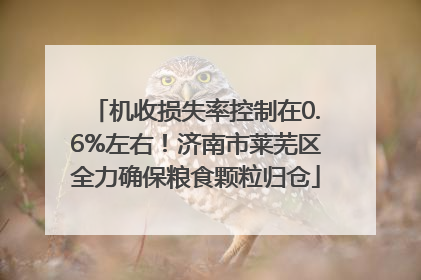 机收损失率控制在0.6%左右！济南市莱芜区全力确保粮食颗粒归仓