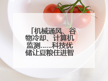 机械通风、谷物冷却、计算机监测……科技优储让夏粮住进智慧的“家”