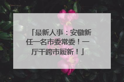 最新人事：安徽新任一名市委常委！一厅干跨市履新！