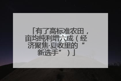 有了高标准农田，亩均纯利增六成（经济聚焦·夏收里的“新选手”）
