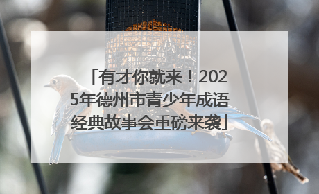 有才你就来！2025年德州市青少年成语经典故事会重磅来袭