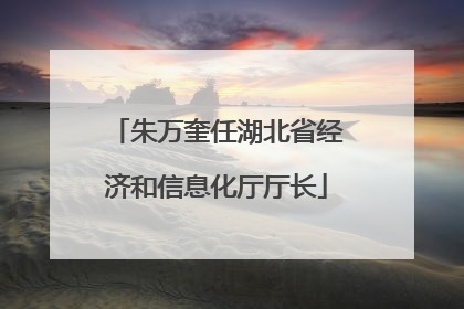 朱万奎任湖北省经济和信息化厅厅长