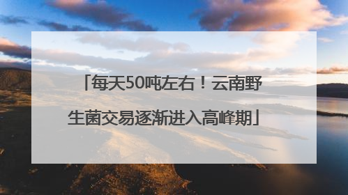 每天50吨左右！云南野生菌交易逐渐进入高峰期