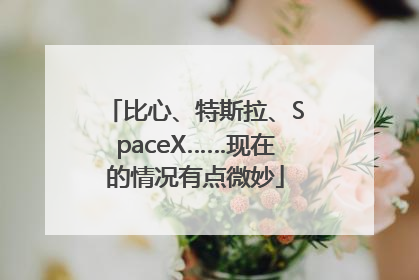 比心、特斯拉、SpaceX……现在的情况有点微妙
