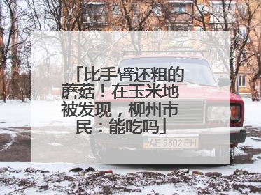 比手臂还粗的蘑菇！在玉米地被发现，柳州市民：能吃吗