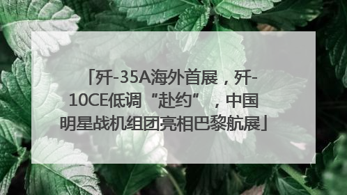 歼-35A海外首展，歼-10CE低调“赴约”，中国明星战机组团亮相巴黎航展
