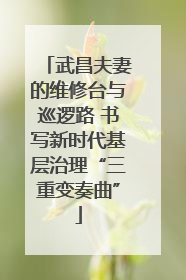 武昌夫妻的维修台与巡逻路 书写新时代基层治理“三重变奏曲”