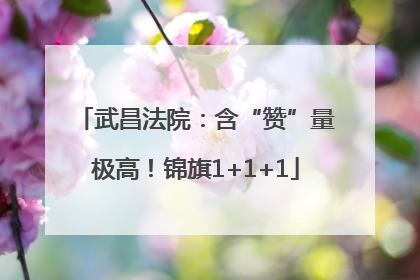武昌法院：含“赞”量极高！锦旗1+1+1