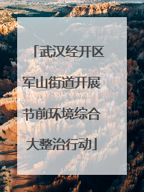 武汉经开区军山街道开展节前环境综合大整治行动