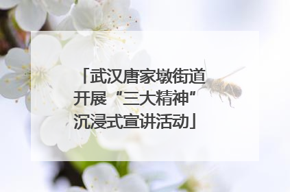 武汉唐家墩街道开展“三大精神”沉浸式宣讲活动