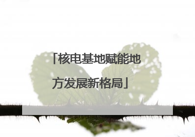 核电基地赋能地方发展新格局