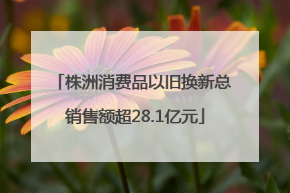 株洲消费品以旧换新总销售额超28.1亿元