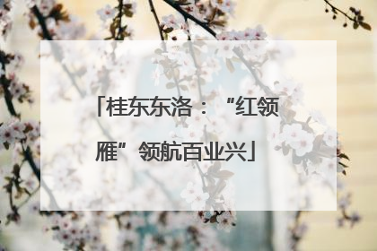 桂东东洛：“红领雁”领航百业兴