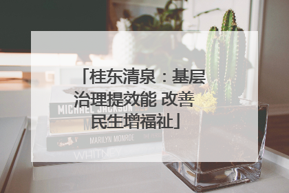桂东清泉：基层治理提效能 改善民生增福祉