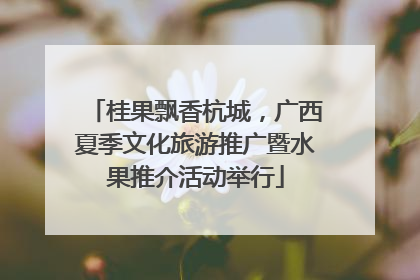 桂果飘香杭城，广西夏季文化旅游推广暨水果推介活动举行