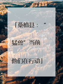桑植县：“猛兽”当前 他们在行动