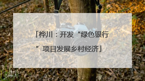 桦川：开发“绿色银行”项目发展乡村经济