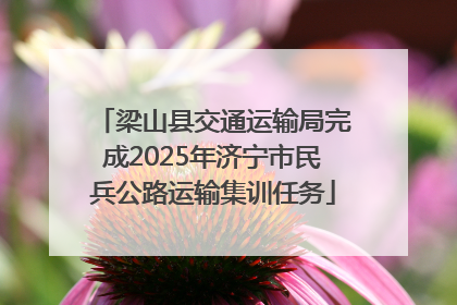 梁山县交通运输局完成2025年济宁市民兵公路运输集训任务