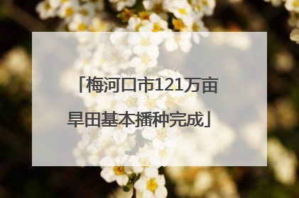 梅河口市121万亩旱田基本播种完成