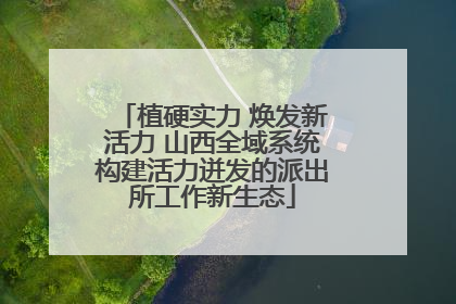 植硬实力 焕发新活力 山西全域系统构建活力迸发的派出所工作新生态