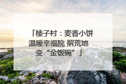楼子村：麦香小饼温暖幸福院 撂荒地变“金饭碗”