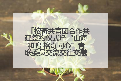 榕奇共青团合作共建签约仪式暨“山海和鸣 榕奇同心”青联委员交流交往交融活动在福州举行