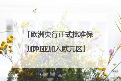 欧洲央行正式批准保加利亚加入欧元区