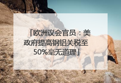 欧洲议会官员：美政府提高钢铝关税至50%毫无道理