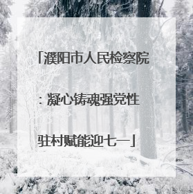 濮阳市人民检察院：凝心铸魂强党性 驻村赋能迎七一