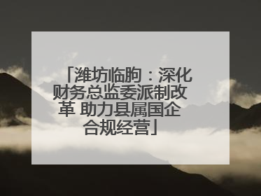 潍坊临朐：深化财务总监委派制改革 助力县属国企合规经营