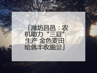 潍坊昌邑：农机助力“三夏”生产 金色麦田绘就丰收图景