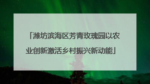 潍坊滨海区芳青玫瑰园以农业创新激活乡村振兴新动能
