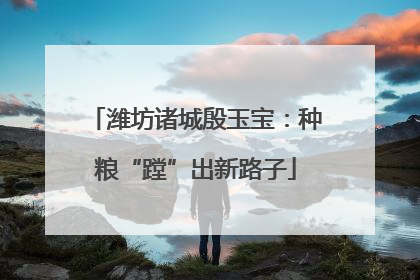 潍坊诸城殷玉宝：种粮“蹚”出新路子